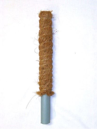 Picture of Tyč kokosová 80 cm, Ø 32 mm