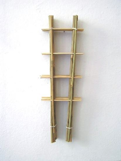 Picture of Žebřík bambusový 60 cm - BALENÍ 10ks