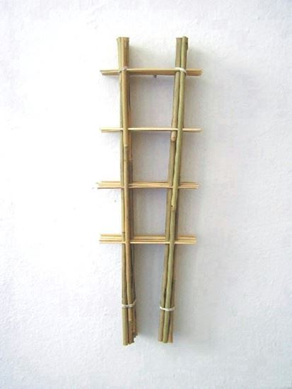Obrázek z Žebřík bambusový 120 cm - BALENÍ 10ks 