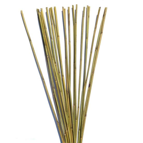 Obrázek z Tyč bambusová 60 cm, 6-8 mm 