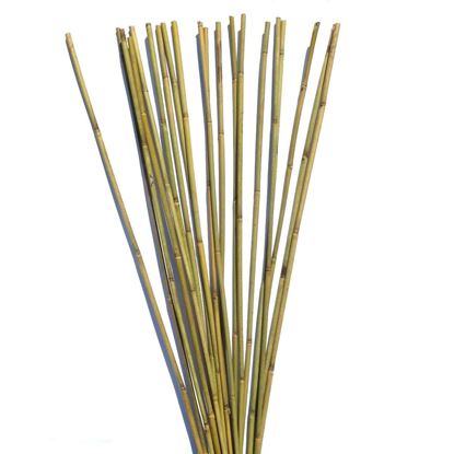 Obrázek Tyč bambusová 120 cm, 10-12 mm