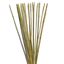 Obrázek Tyč bambusová 150 cm, 10-12 mm