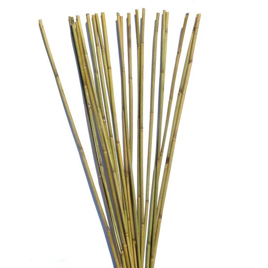 Obrázek z Tyč bambusová 105 cm, 6-8 mm 