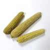 Picture of Maize fruit - barevné (15ks)