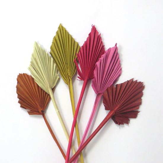 Obrázek z Palm spear small - barevný (10ks) 
