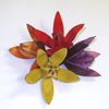 Obrázok z Wild lily - farebná (20ks)