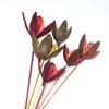 Obrázek z Wild lily - barevná, na stonku (15ks) 