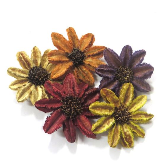 Picture of Arjun sunflower - barevná (25ks)