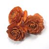 Obrázek z Cedar rose - barevná (25ks) 