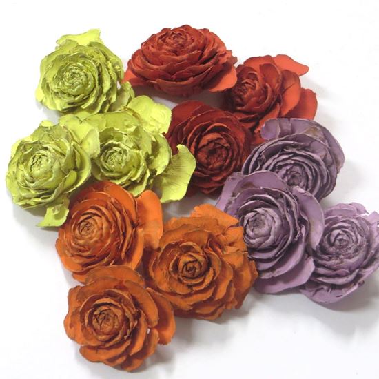 Obrázek z Cedar rose mini - barevná (0,5kg) 