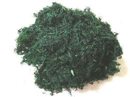 Obrázek Mech - zelený (0,1kg)