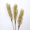 Obrázek z Palm cord flower - přírodní, na stonku (10ks) 