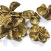 Picture of Land lotus - zlatý, stříbrný (20ks)