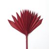 Obrázek z Palm sun spear small - barevný (10ks) 