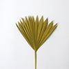Picture of Palm sun spear small - barevný (10ks)