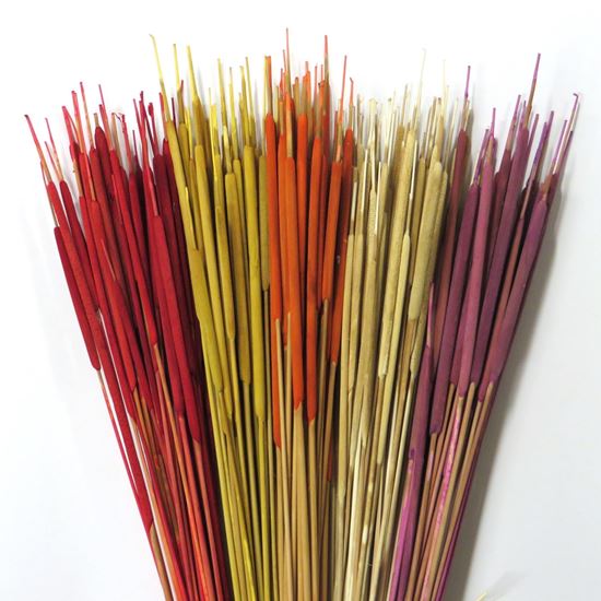 Obrázek z Typha pencil (Reed spadix pencil) - barevný (100ks) 